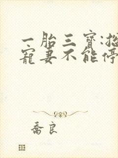 一胎三宝:总裁宠妻不能停