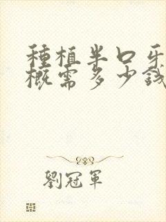 种植半口牙齿大概需多少钱