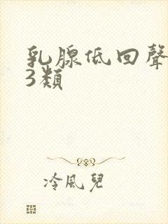 乳腺低回声结节3类