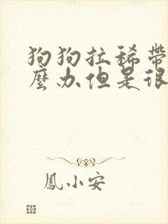 狗狗拉稀带血怎么办但是很活泼