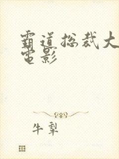 霸道总裁大尺度电影