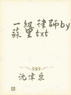 一级律师by木苏里txt