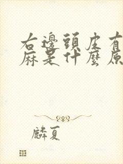 右边头皮有点发麻是什么原因