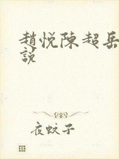 赵悦陈超岳母小说