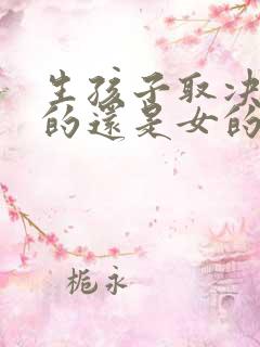 生孩子取决于男的还是女的