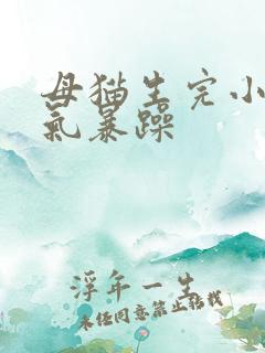 母猫生完小猫脾气暴躁