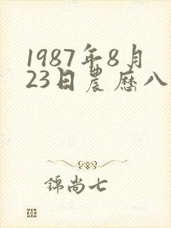 1987年8月23日农历八字