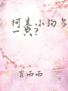 柯基小狗多少钱一只?