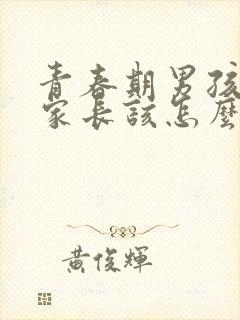 青春期男孩叛逆家长该怎么办