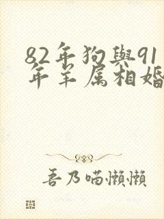 82年狗与91年羊属相婚配可以吗