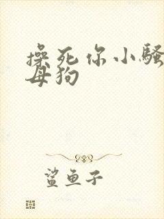 操死你小骚货小母狗