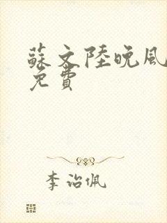苏文陆晚风小说免费