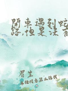 开车遇到蛇过马路,但是没有压到它