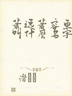 萧逸萧容鱼小说叫什么名字来着