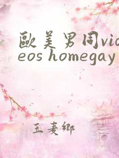欧美男同videos homegay