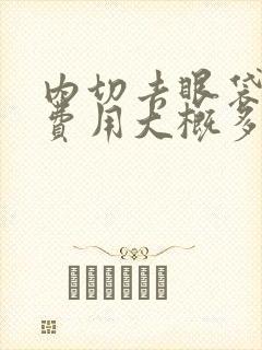 内切去眼袋手术费用大概多少钱