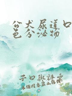 公犬尿道口黄绿色分泌物