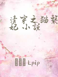 清穿之猫系太子妃 小说