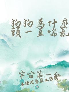 狗狗为什么吐舌头一直喘气