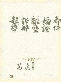 起诉离婚都需要带哪些证件