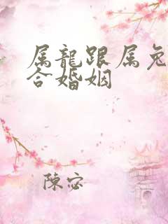 属龙跟属兔合不合婚姻