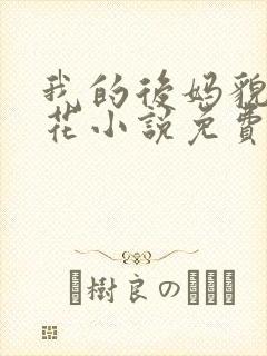 我的后妈貌美如花小说免费下载