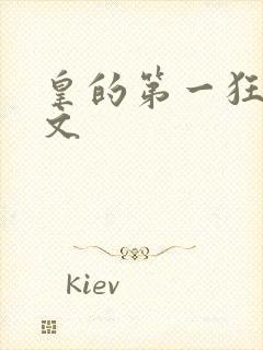 皇的第一狂妃全文