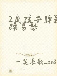 2岁孩子脾气暴躁易怒