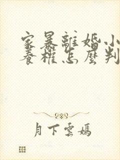 家暴离婚小孩抚养权怎么判