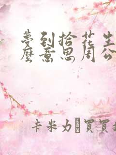 梦到拾花生是什么意思周公解梦