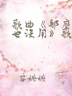 歌曲《那么爱你也没用》歌词