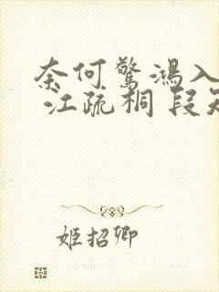 奈何惊鸿入我心 江疏桐 段知许