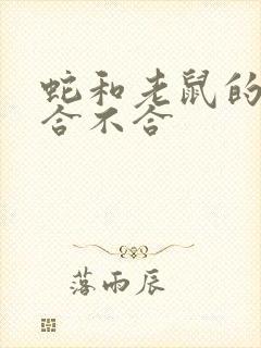 蛇和老鼠的属相合不合