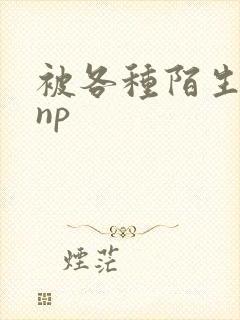 被各种陌生人 np