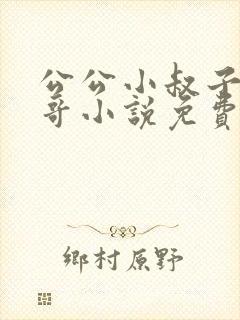 公公小叔子爸爸哥小说免费阅读全文