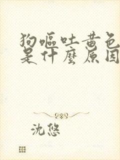 狗呕吐黄色液体是什么原因