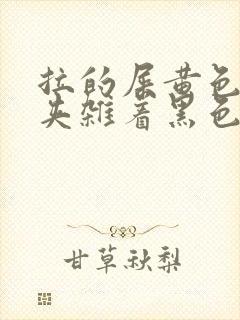 拉的屎黄色里面夹杂着黑色