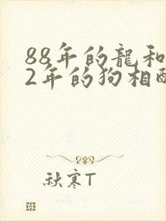 88年的龙和82年的狗相配吗