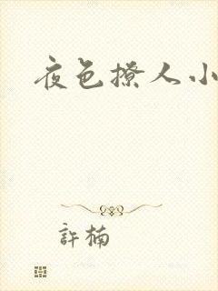 夜色撩人小说