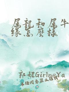 属龙和属牛的姻缘怎么样