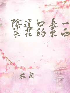 阴道口长一圈像菜花的东西