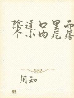 阴道口里面长了个小肉疙瘩