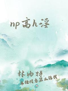 np高h淫
