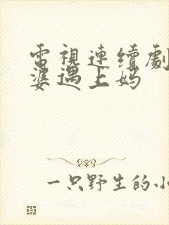 电视连续剧当婆婆遇上妈