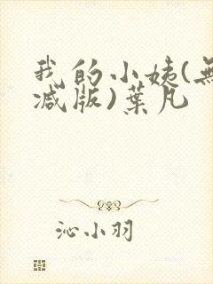 我的小姨(无删减版)叶凡