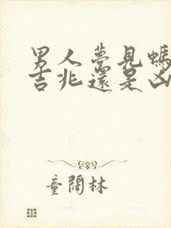 男人梦见蚂蚁是吉兆还是凶兆