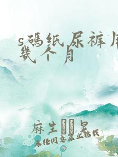 s码纸尿裤用到几个月