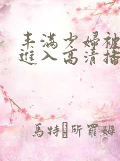 丰满少妇被猛烈进入高清播放久久