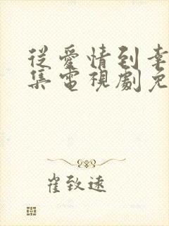 从爱情到幸福全集电视剧免费观看