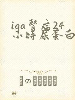 iga肾病24小时尿蛋白控制在多少